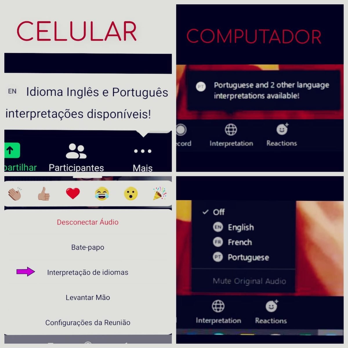 tradução