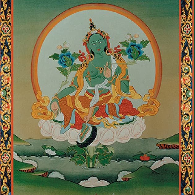 20211107 Tara Verde