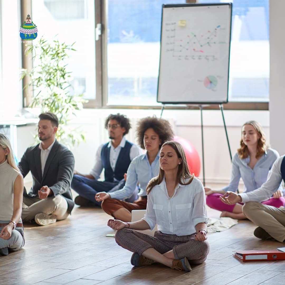 Meditacoes Cotidiano